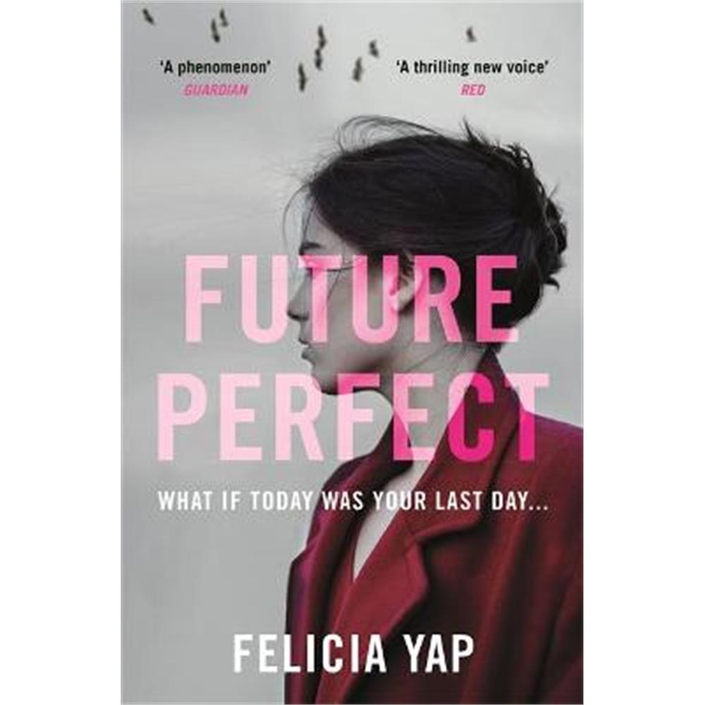 Future Perfect: The Most Exciting High-Concept Novel of the Year (Paperback) - Felicia Yap
